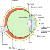 Avatar für MrFlenders