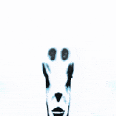 Avatar for xilito