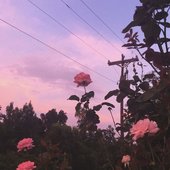 ab67616d0000b27371bd343a23c1e391ce6c076d.jpg