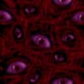 Avatar for Itteyoshi