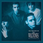 You've Gotta Hand It To 'Em: The Very Best Of The Waltones