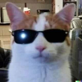 leuosouza 的头像