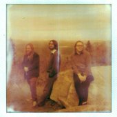 Polaroid