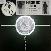 Magnetic Two