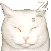 gukitty 的头像