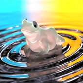 Toad EP