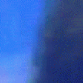 _NEW_AGE_SEAPUNK__Secret_webcam_Girl_cropped.gif