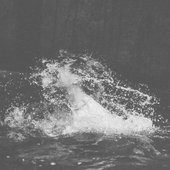 Late Night Theatrics