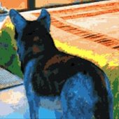shadowdog_.JPG
