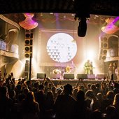 MuzOnline 2016