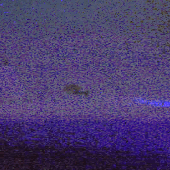 banner (from spotify and bandcamp)