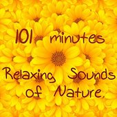 101 Minutes Relaxing Sounds of Nature Music for Sleeping, Relaxation, Mindfulness Meditation, Reiki, Autogenic Training & Yoga Savasana Bonus Track Version