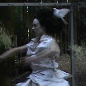 Is Anybody Out There?