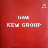 Caw_New_Group__italian_80s_synth-pop_project