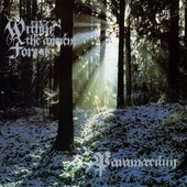Within the ancient forest