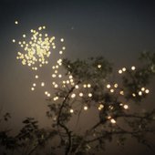 Linger