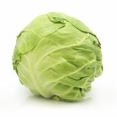 Avatar for cabbagecarter