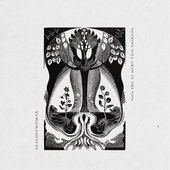 Butcher's Broom - Single