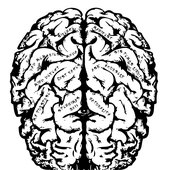 Mind Defect