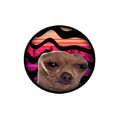 Avatar for ZaiMXXIV