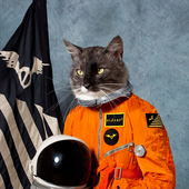 Avatar for Kittycat2000