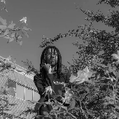 black n white osquinn ny times