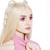 poppy-a-famous-singer.png