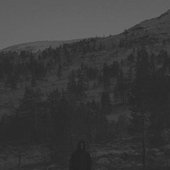 None