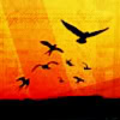 Zyrque için avatar