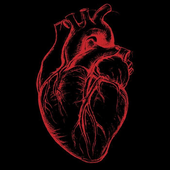 Avatar de L_u_k_a_s_z