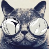 Avatar for danilovgman