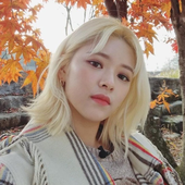 ruanvevo 的头像