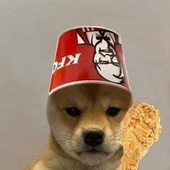samijamiii 的头像