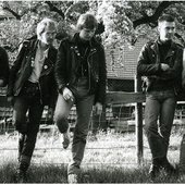 CRAZY_1981.jpg