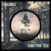Endlings.jpg