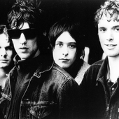 the verve