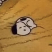 t4llchild 的头像