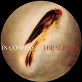 The sleeper