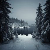 Northern Michigan Snowstorms