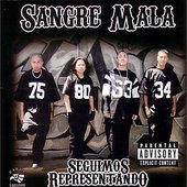 Seguimos Representando