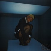 Mini Skirt - Single