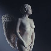 IMG_7667.jpeg