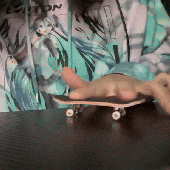 ‎