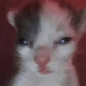 Avatar for Puppet_JJ
