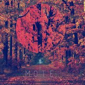 Mote