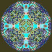 Oscillations - Single