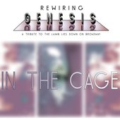 In The Cage