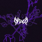 Collider / Stray