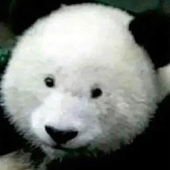 CoolKidRohan 的头像