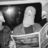 the pigeons.jpg
